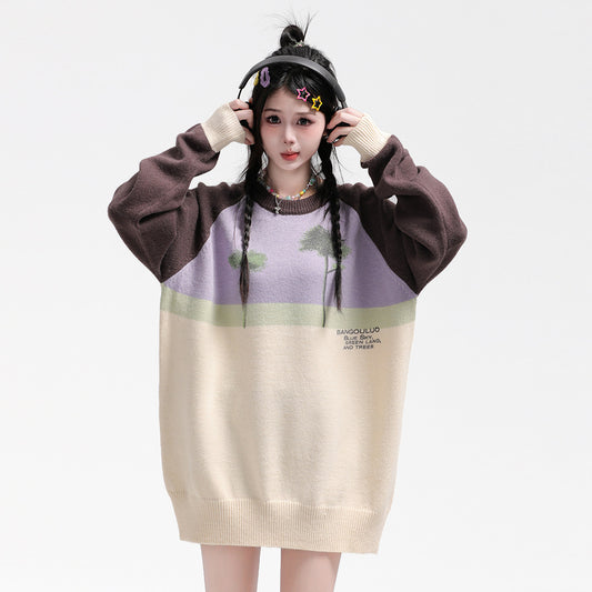 Color Contrast Patchwork Round Neck Sweater Bf Idle Style Women