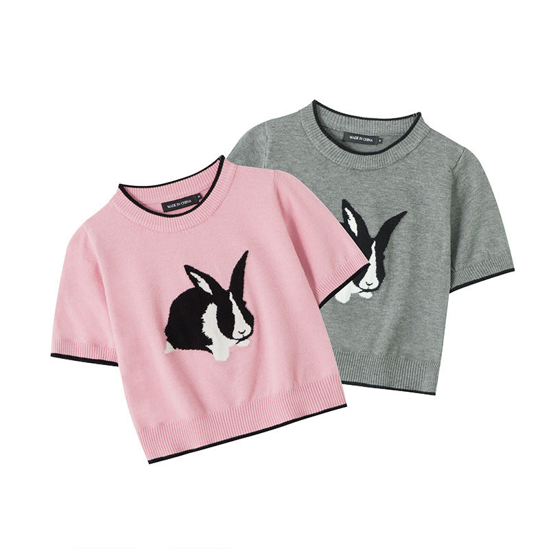 Rabbit Hot Girl Short Slimming Knitted T-shirt